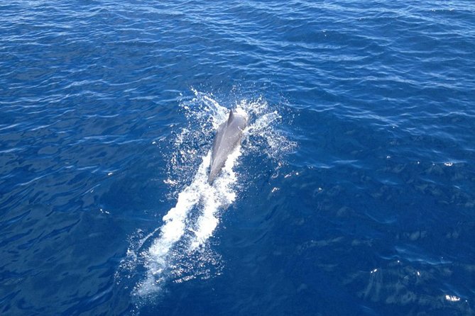 2-Day Halkidiki Sailing Cruise - Practical details before you book