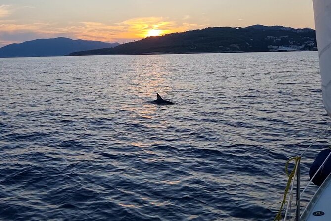 All Inclusive Daily Sailing with BBQ on Board - Why this eight-hour sailing day works