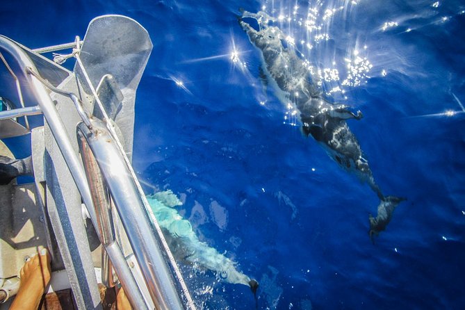 All inclusive day sailing tour from Naxos to the small cyclades - A full day from Naxos Port to open water