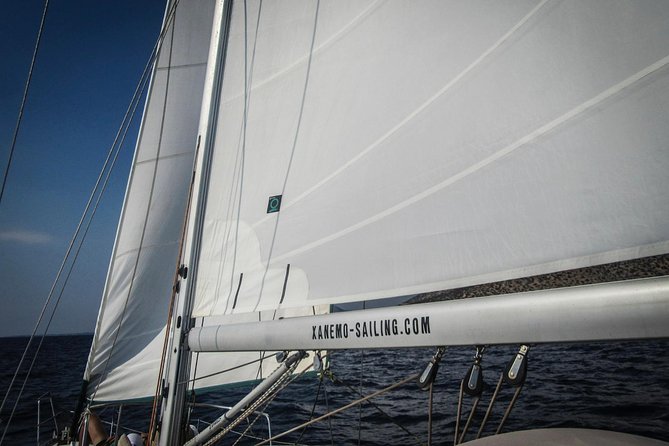 All inclusive day sailing tour from Naxos to the small cyclades - The crew shapes the day