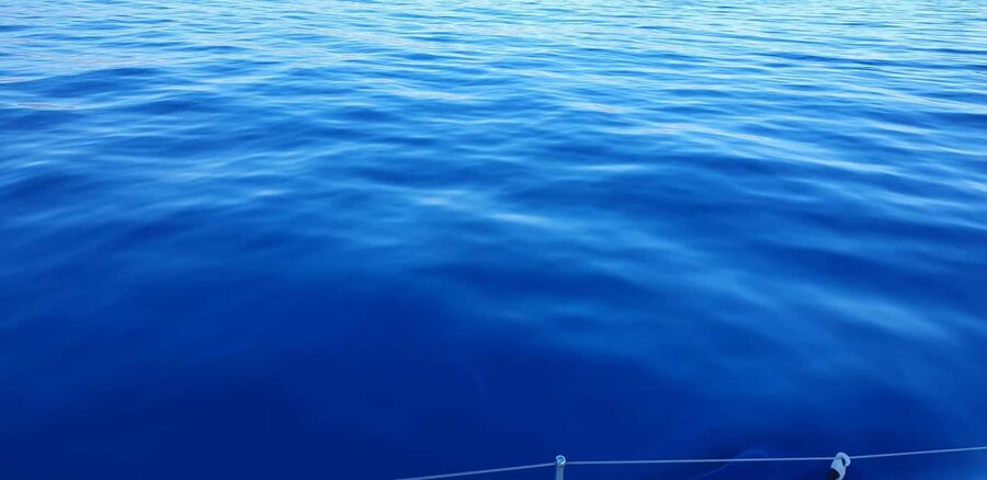 Athens Riviera Private Catamaran Cruise with Meal and Drinks - What the private format changes