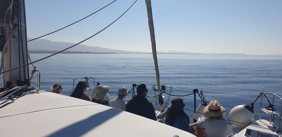 Athens Riviera Private Catamaran Cruise with Meal and Drinks - Is the $2,061 price fair?