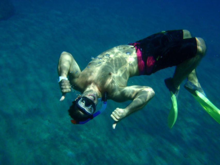 Catamaran Full Day Cruise - Key points to know before booking