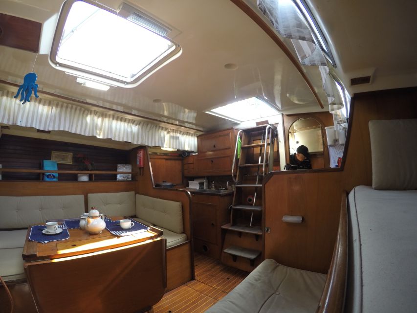 Chania: Private Morning or Sunset Sailing Cruise - Thodorou Island and the wild kri-kri goats