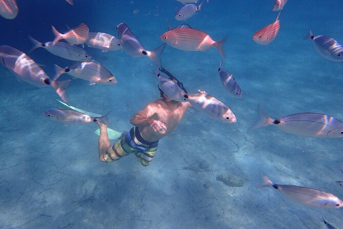 DAY TRIP - Exclusive Sailing Adventure - CORFU / PAXOS - The Blue Caves: the day’s main water stop