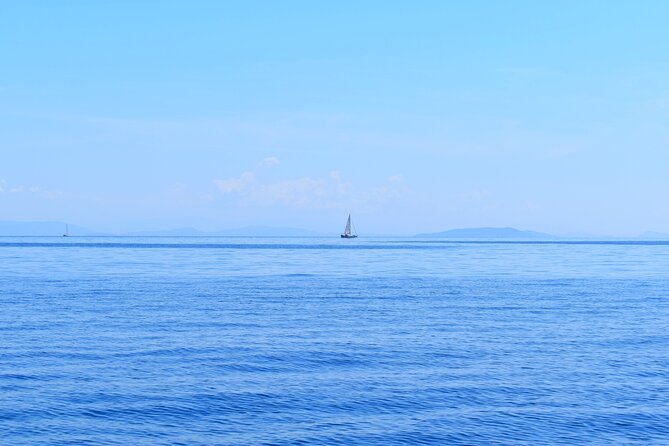 From Agia Efimia: All Inclusive Sailing Day Tour to Ithaca - Key points to know before you book