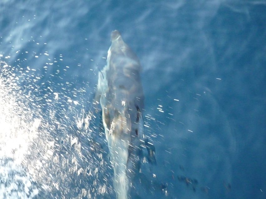 From Paros: Private Sailing Cruise with Lunch and Snorkeling - Should you book the Lady K sailing cruise?