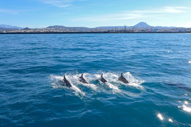 Full Day Private Luxury Escape Sailing - A second cove for quieter time