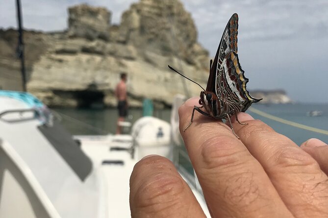 Half day Catamaran Morning Cruise in Kleftiko - Kalogries: Your First Swim in Clear Water