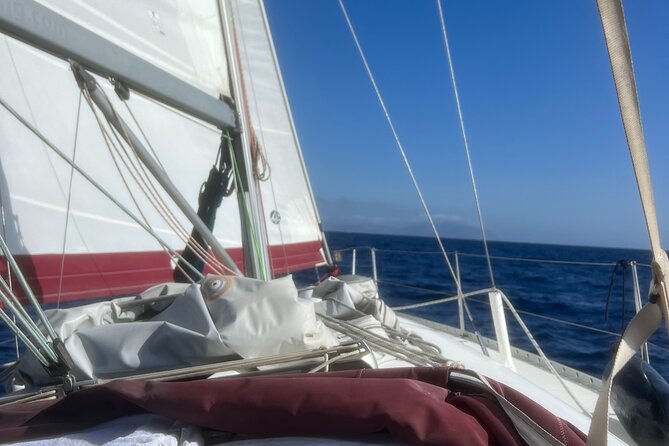 Half day Private Sailing cruise in Santorini island up to 6 pax - What the private format means for your day