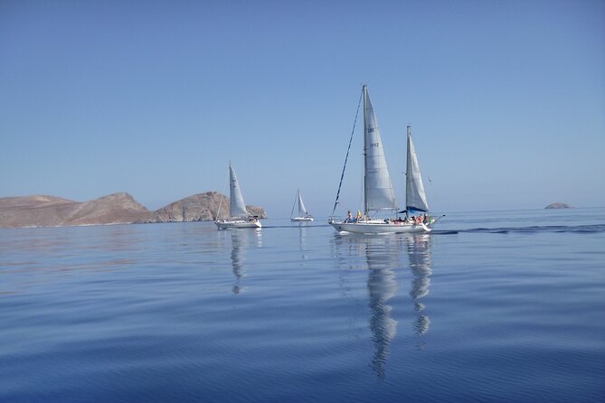 Heraklion: Nature Reserve Full day sailing to Dia Island & Lunch - Agios Georgios and a Greek lunch at sea