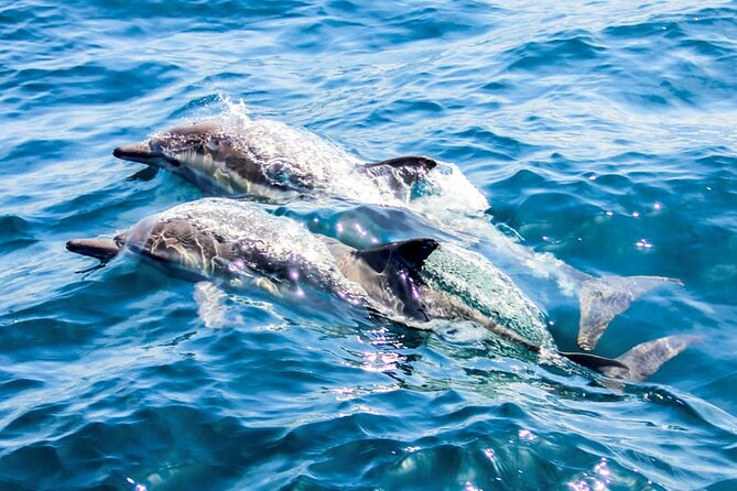Ierapetra Chrissi Island Luxury Yacht Cruise with Meal - Weather, cancellation, and choosing your date