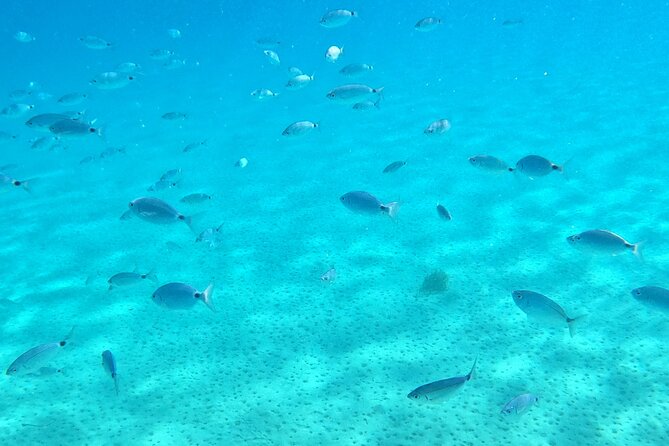 Kos: Catamaran Small Group Full-Day trip with Meal, Drinks, Swim - The second swim stop and time to relax