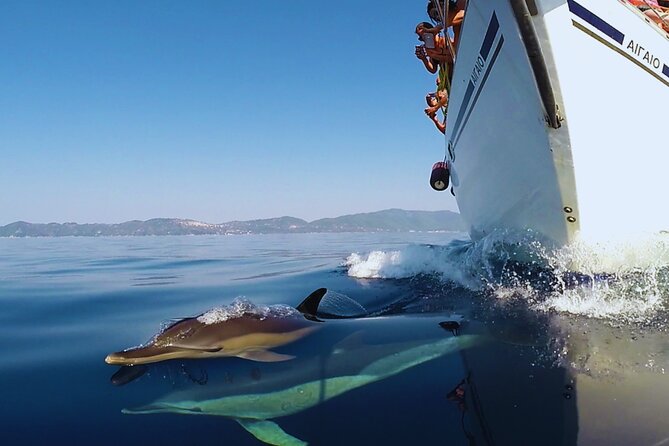 Kos: Small Group Full-Day Sailing with Meal, Drinks, & Swim - Value, timing, and practical details