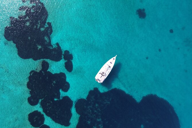 Luxury Catamaran Morning Semi-Private & Greek Gastronomy Athens - Greek food served in stages