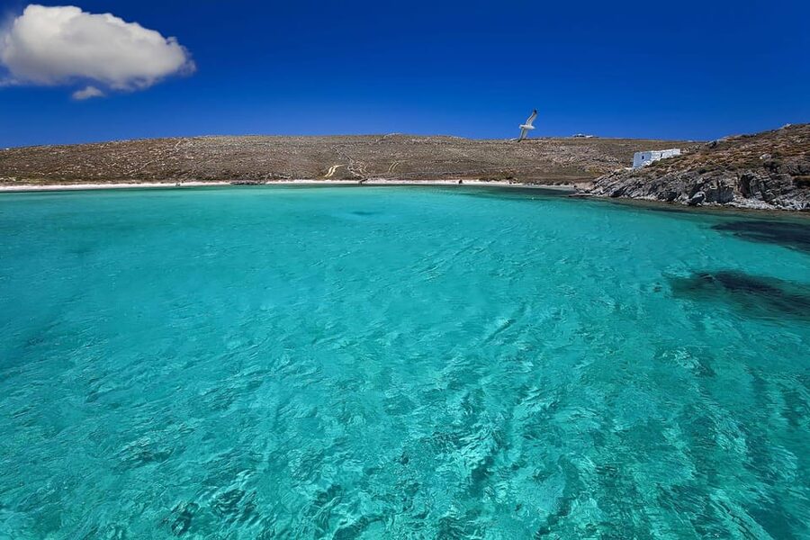 Mykonos Catamaran Delos Rhenia semi private cruise - Lunch, drinks, and what the price covers