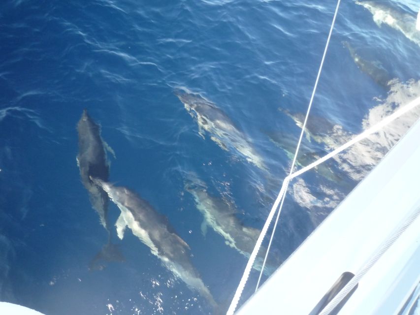 Paros: Iraklia, Schinoussa, & Naxos Sailing Tour with Lunch - Booking details that affect your day