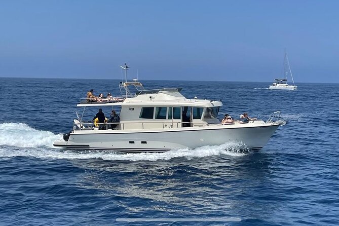 Private Full-Day Motor Yacht Cruise with Meal, Open Bar+Transfers - Why a private yacht is useful in Santorini