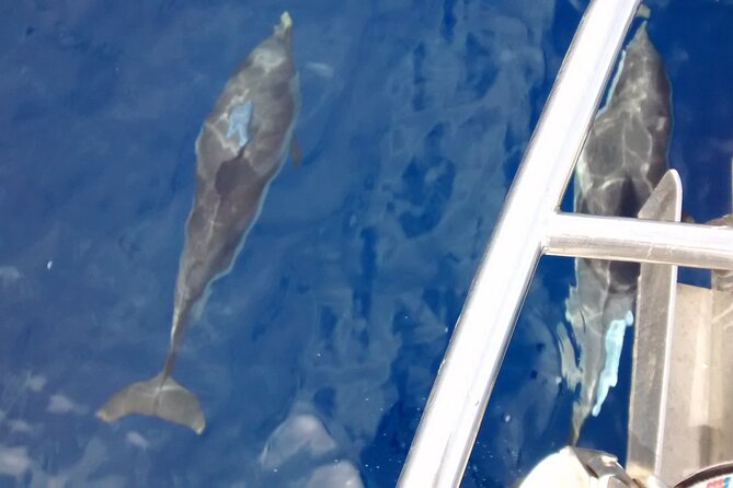 private sailing cruises - Voidokilia Beach and the castle above the cave