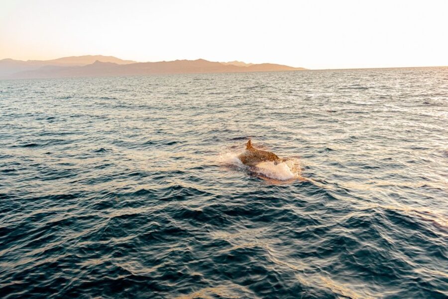 Private Sailing Trip from Heraklion to Dia island - The one-hour ride north to Dia