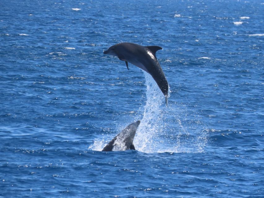 Sail Away in Kos: Unveil 3 Greek Isles’ Secrets! - Lunch and what the $35 price covers