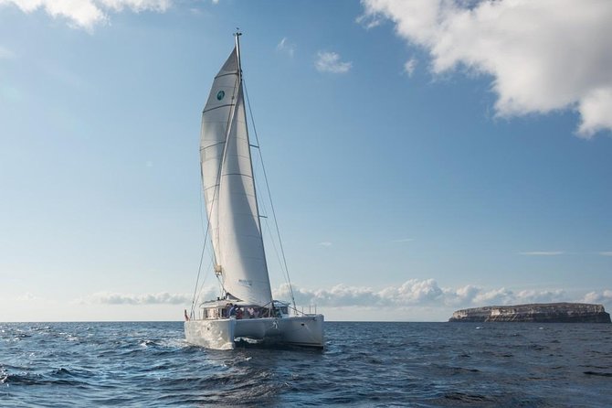 Santorini Caldera Sailing Tour with BBQ Lunch and Drinks - Crew service and the small-group question