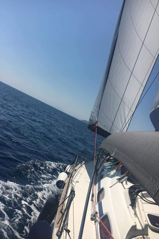 Skiathos: day sailing trip with swim stops and lunch - Wildlife and small surprises at sea