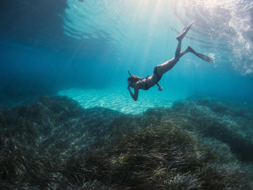 Snorkelling & Sailing In Crete’s Hidden Coastal Gems - What snorkeling is really like