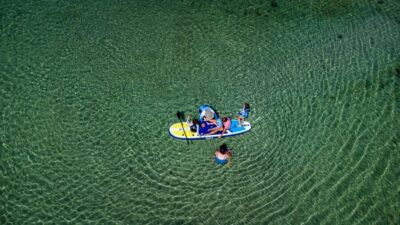Volos: Pagasetic Gulf Full-Day Sailboat Experience